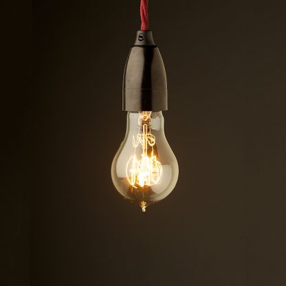 Edison style light bulb Contemporary Bakelite fitting