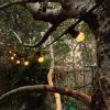 Low Voltage G45 LED Commercial Festoon Kit 50cm intervals