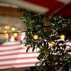 Low voltage festoon LED vintage