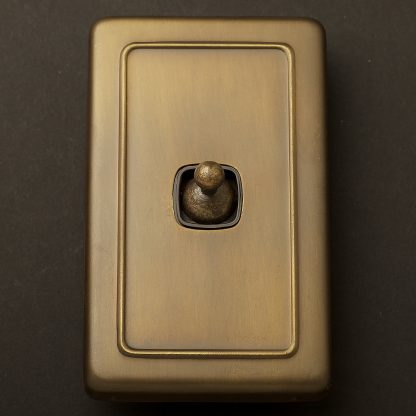 Traditional Antique Brass large plate single rocker switch