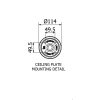 Edison Light Globes Cast Ceiling Plate